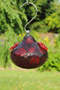 Red Shimmer Glass Hummingbird Feeder