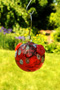 Red Batik Hummingbird Feeder