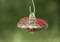 3 Copper Frit Saucer Hummingbird Feeder