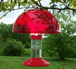 Hummingbird Accessories